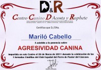 /album/a-c-b-c-asociacion-canina-boramorena/ponencia-sobre-agresividad-canina-jpg/